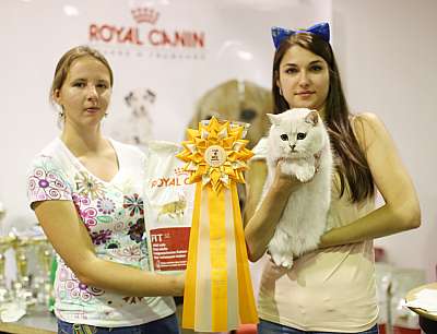 �������� ����� '���-�����-��������' 20-21 �������� 2014 5-229-169A1768 copy.jpg